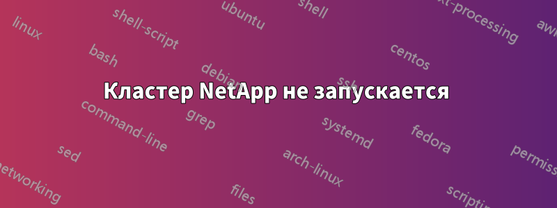 Кластер NetApp не запускается