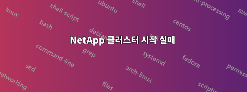 NetApp 클러스터 시작 실패