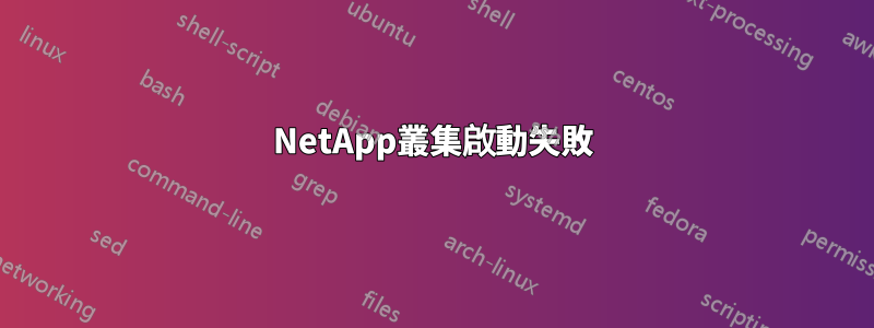 NetApp叢集啟動失敗