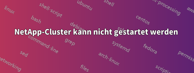 NetApp-Cluster kann nicht gestartet werden