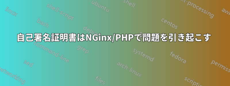 自己署名証明書はNGinx/PHPで問題を引き起こす