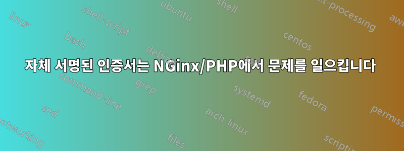 자체 서명된 인증서는 NGinx/PHP에서 문제를 일으킵니다