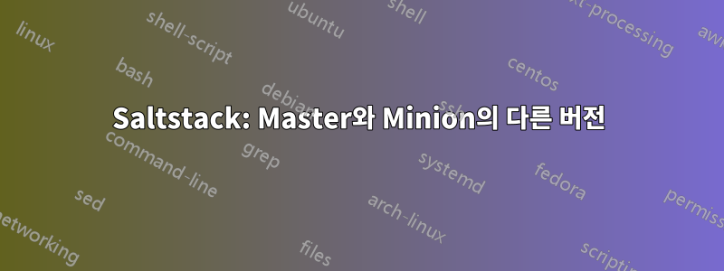 Saltstack: Master와 Minion의 다른 버전