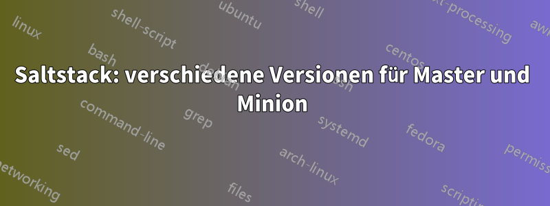 Saltstack: verschiedene Versionen für Master und Minion