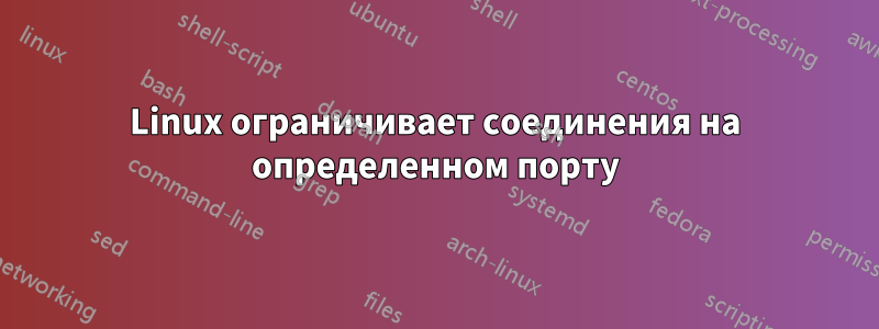 Linux ограничивает соединения на определенном порту