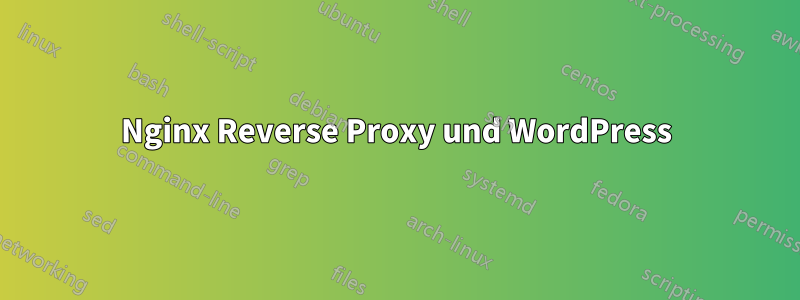 Nginx Reverse Proxy und WordPress