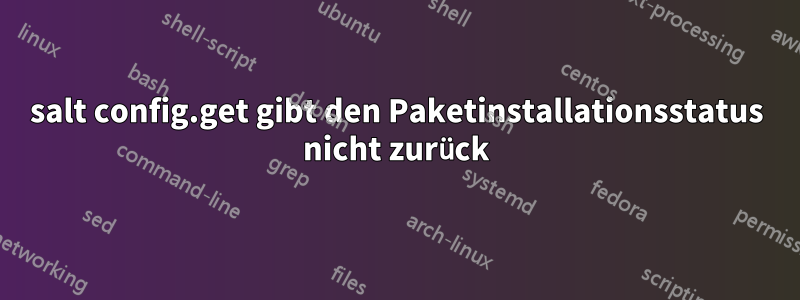 salt config.get gibt den Paketinstallationsstatus nicht zurück