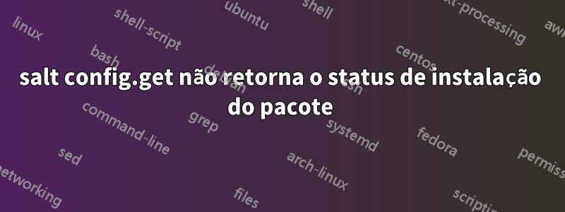 salt config.get não retorna o status de instalação do pacote