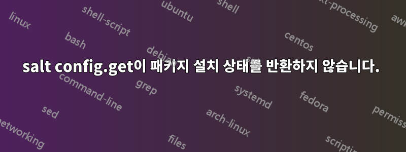 salt config.get이 패키지 설치 상태를 반환하지 않습니다.