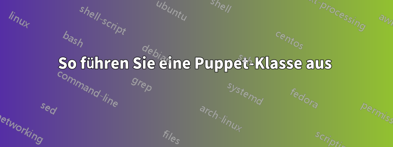 So führen Sie eine Puppet-Klasse aus