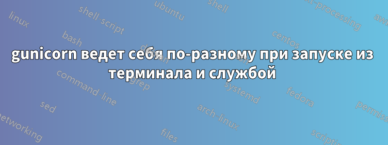 gunicorn ведет себя по-разному при запуске из терминала и службой