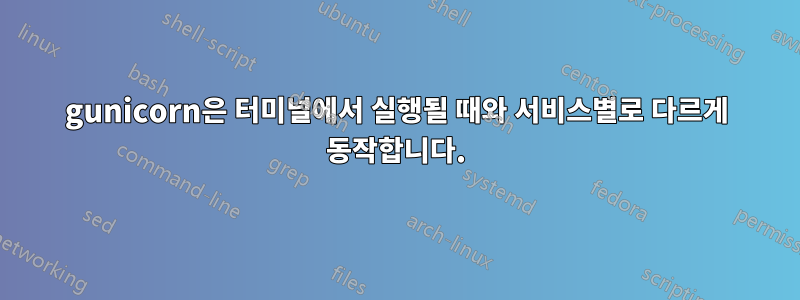 gunicorn은 터미널에서 실행될 때와 서비스별로 다르게 동작합니다.