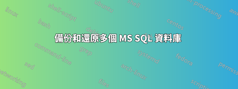 備份和還原多個 MS SQL 資料庫