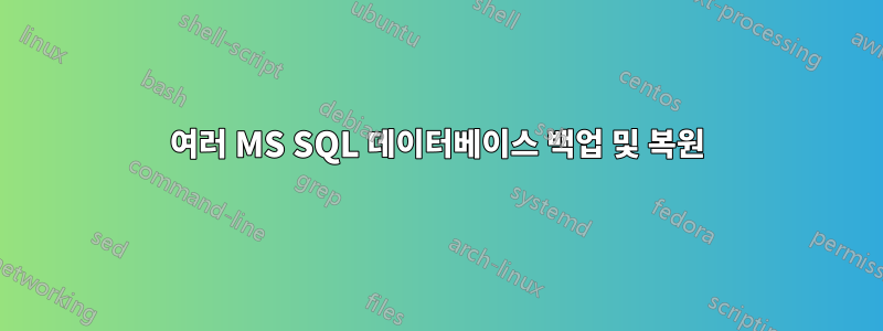 여러 MS SQL 데이터베이스 백업 및 복원