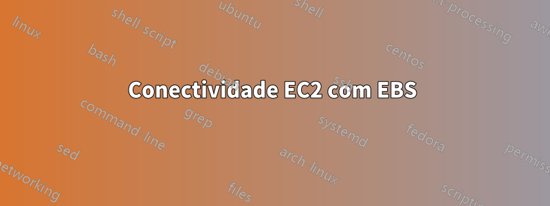 Conectividade EC2 com EBS