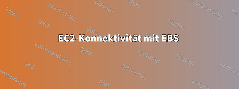 EC2-Konnektivität mit EBS