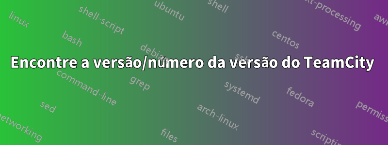 Encontre a versão/número da versão do TeamCity