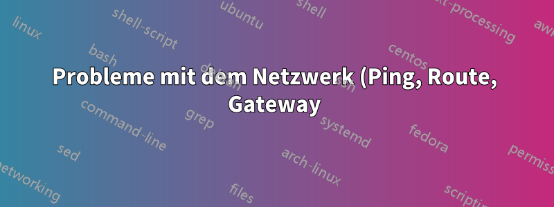 Probleme mit dem Netzwerk (Ping, Route, Gateway)