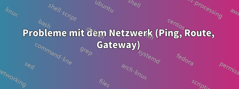 Probleme mit dem Netzwerk (Ping, Route, Gateway)