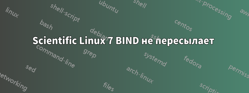 Scientific Linux 7 BIND не пересылает