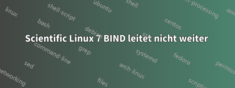 Scientific Linux 7 BIND leitet nicht weiter