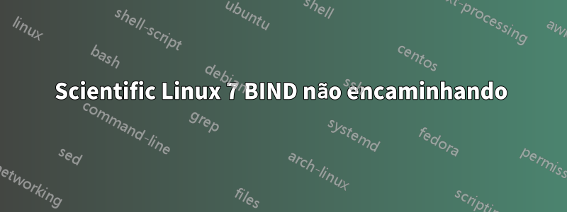 Scientific Linux 7 BIND não encaminhando