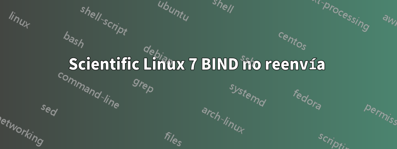 Scientific Linux 7 BIND no reenvía