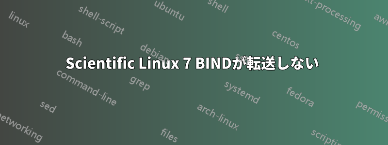 Scientific Linux 7 BINDが転送しない