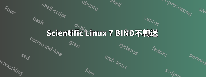 Scientific Linux 7 BIND不轉送