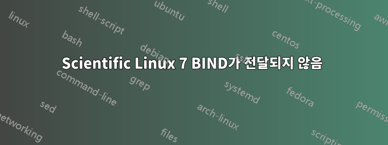 Scientific Linux 7 BIND가 전달되지 않음