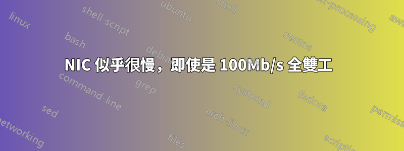 NIC 似乎很慢，即使是 100Mb/s 全雙工 