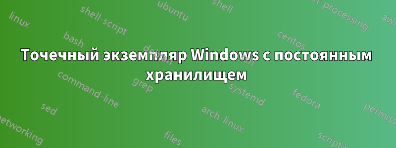 Точечный экземпляр Windows с постоянным хранилищем