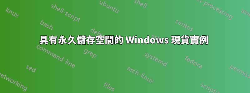 具有永久儲存空間的 Windows 現貨實例