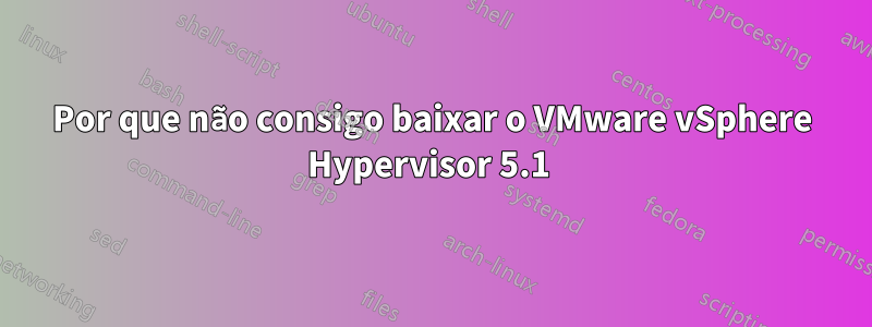 Por que não consigo baixar o VMware vSphere Hypervisor 5.1 