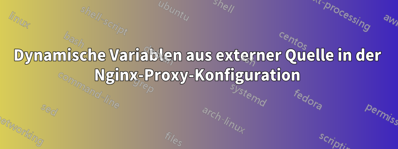 Dynamische Variablen aus externer Quelle in der Nginx-Proxy-Konfiguration