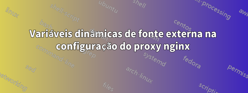 Variáveis ​​dinâmicas de fonte externa na configuração do proxy nginx