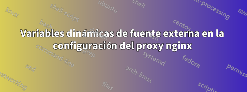 Variables dinámicas de fuente externa en la configuración del proxy nginx