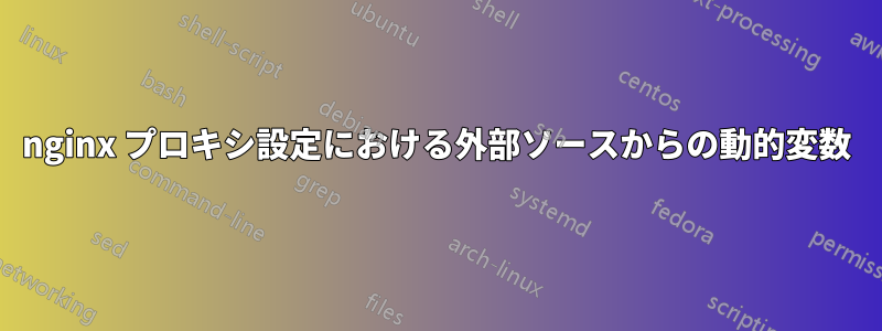 nginx プロキシ設定における外部ソースからの動的変数