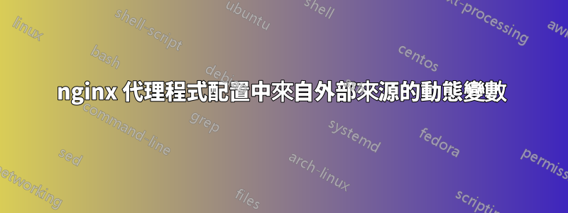 nginx 代理程式配置中來自外部來源的動態變數