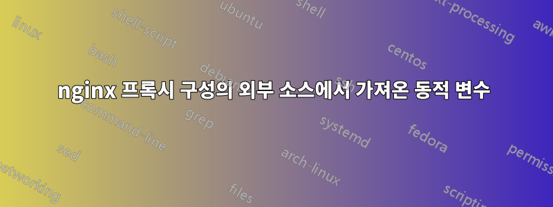 nginx 프록시 구성의 외부 소스에서 가져온 동적 변수