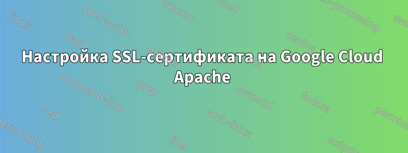 Настройка SSL-сертификата на Google Cloud Apache