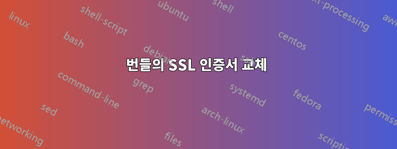 번들의 SSL 인증서 교체