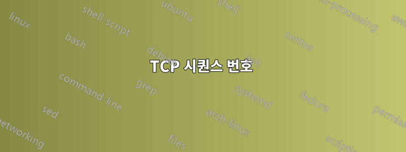 TCP 시퀀스 번호