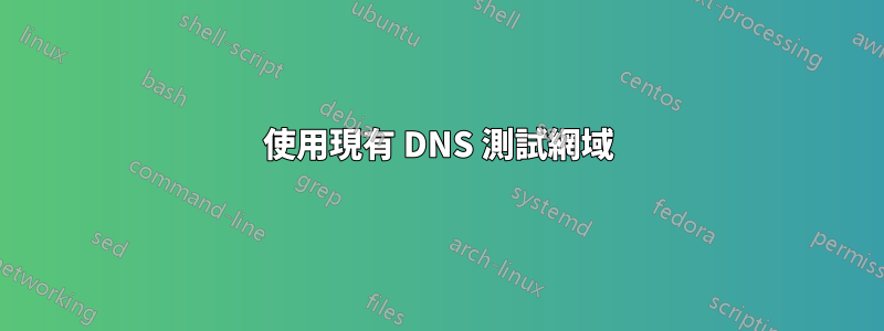 使用現有 DNS 測試網域