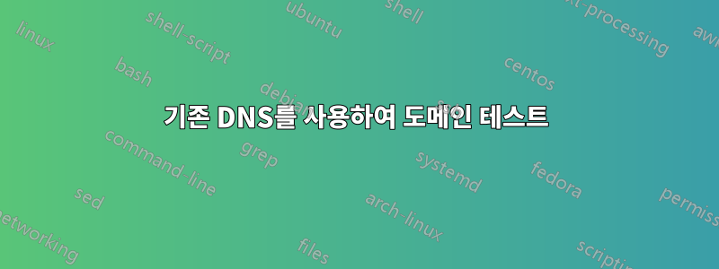 기존 DNS를 사용하여 도메인 테스트