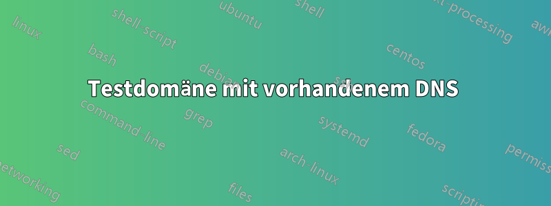 Testdomäne mit vorhandenem DNS