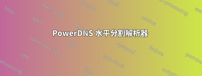 PowerDNS 水平分割解析器