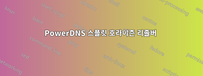 PowerDNS 스플릿 호라이즌 리졸버