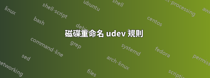 磁碟重命名 udev 規則