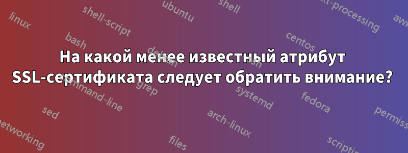 На какой менее известный атрибут SSL-сертификата следует обратить внимание?